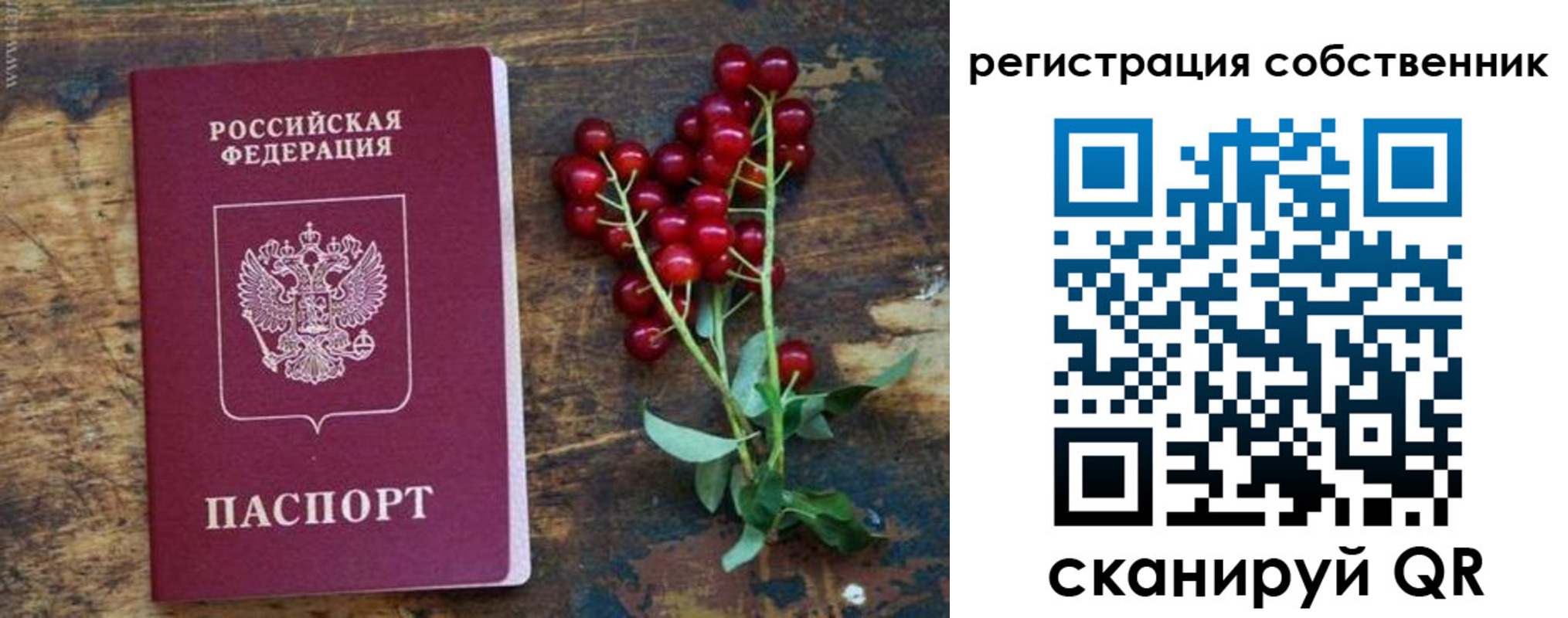 регистрация для дет. сада в Снежинске